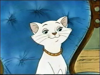 Combien Duchesse a-t-elle de chatons ?