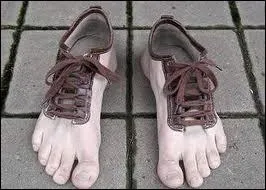 Quelle est la traduction d'une chaussure ?