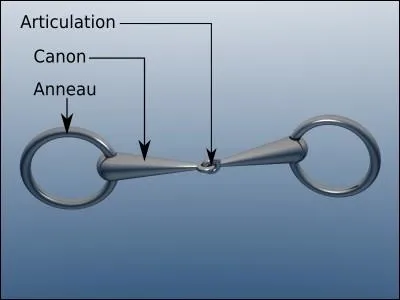 C'est en �quitation que vous pouvez avoir � placer un mors sur votre monture. O� doit-il �tre mis ?