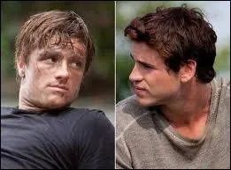 Qui aurait t le tribut-garon avec Prim si Katniss n'avait pas pris sa place lors des 74me Hunger Games ?