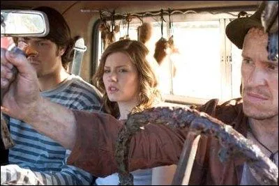 Quelle genre de courroie faut-il pour la voiture de Wade ?