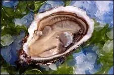 Si vous les avez ensablées, c'est que vous êtes durs d'oreille !