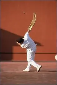 Les Basques sont des gens charmants. Ce sont les rois de la pelote, du piment et des gros pétards (pas ceux qu'on fume). Mais si on est pendu à ses ''basques'' , c'est...