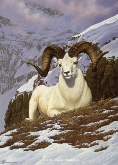 Cet animal vit en montagne, quel est son nom ?