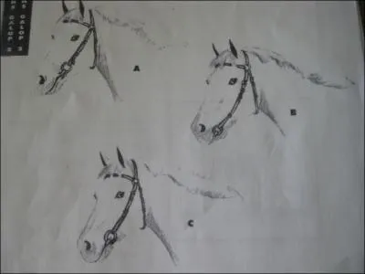 En observant le croquis, dites la lettre du filet qui est bien ajustée.