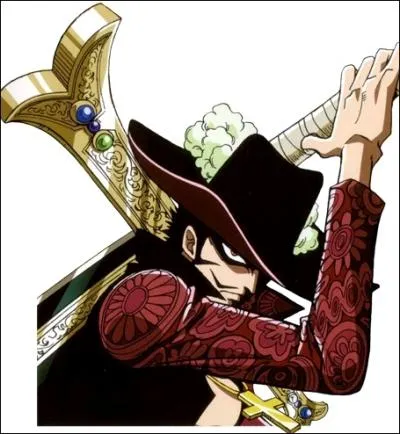 Contre qui se bat Zoro ?