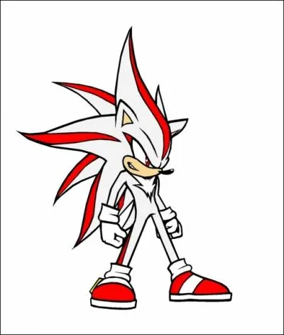 Et enfin, comment s'appelle la fusion de Sonic et Shadow ? (Personnage non officiel)