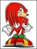 De quelle couleur est Knuckles lorsqu'il se transforme ?