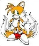 Qu'obtient Tails lorsqu'il se tranforme ?