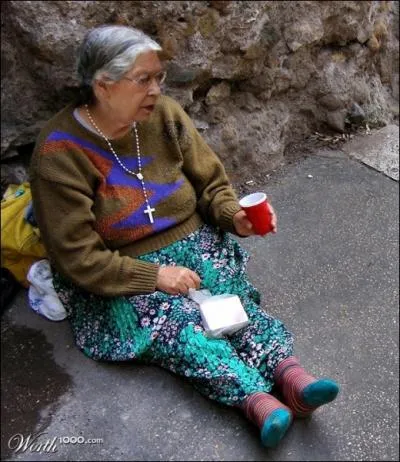 Avez-vous reconnu, cette pauvre dame, elle aurait pu être... ( cliquez sur les images pour les agrandir ).