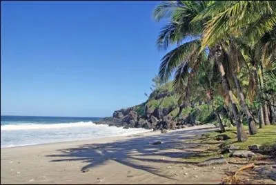 Dans quel dpartement d'outre-mer se situe la plage de Grande Anse connue pour ses rcifs coralliens ?