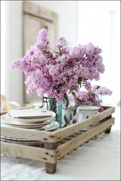 Un petit moment de bonheur, ce peut tre...