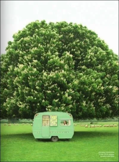 Un petit moment de bonheur, ce peut tre...