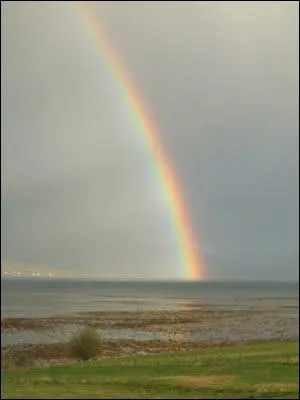 Un petit moment de bonheur, ce peut tre...