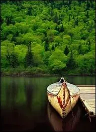 Un petit moment de bonheur, ce peut tre...