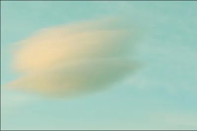 Un petit moment de bonheur, ce peut tre...