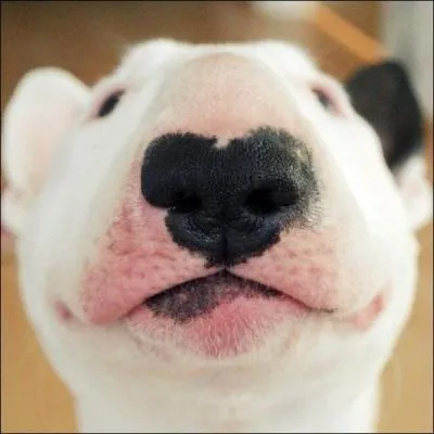 Un petit moment de bonheur, ce peut tre...