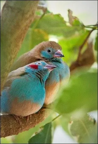 Un petit moment de bonheur, ce peut tre...