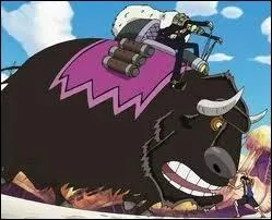 Qu'est-ce qui se trouve sur les harpons de Duval ?