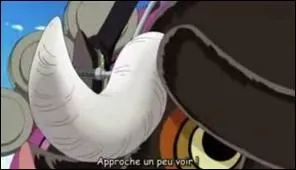 Comment sont appeles les cornes de Motobaru ?