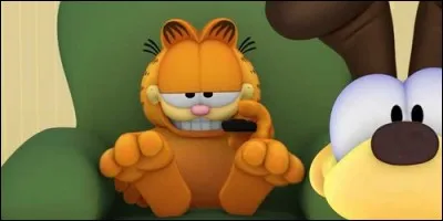 Où Garfield regarde-t-il généralement la télé ?