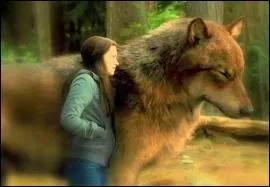 Pourquoi les Cullen doivent-ils faire une alliance avec les loups-garous ?