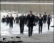 Qui sont les blesss lors de la bataille ?