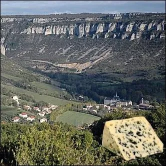 Fromage  pte persille labor exclusivement avec des laits crus de brebis, datant au moins du XIe sicle et originaire de la rgion des causses et valles de l'Aveyron ... .