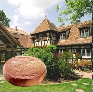 Fromage  base de lait de vache cru ou pasteuris,  pte molle  crote lave pouvant peser de 450 g  1 Kg 500 et dgageant une odeur prononce, fabriqu dans l'Est ... .