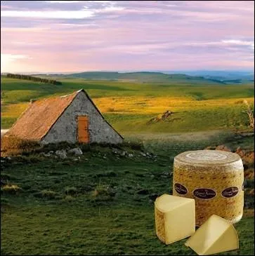 C'est un fromage  pte ferme, presse et non cuite de la rgion de l'Aubrac, fabriqu  partir de lait de vache cru et entier qui doit son nom a un petit bourg de L'Aveyron... .
