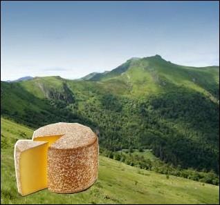 C'est un fromage à pâte pressée de forme cylindrique non cuite, originaire du Massif central fabriqué à partir de lait cru de vache ou pasteurisé ... .