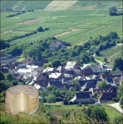 Fromage de chvre originaire de l'ancien village berrichon situ dans la rgion Centre et la rgion naturelle du Sancerrois... .