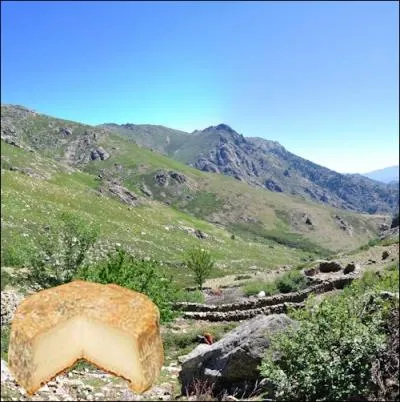 Ce fromage labor dans une haute valle corse,  base de lait de brebis ou de lait de chvre,  pte molle  crote lave, a un poids moyen de 400 grammes... .
