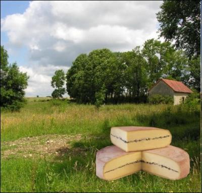 Appellation fromagère désignant un fromage au lait cru de vache, à pâte pressée non cuite à la raie cendrée, d'un poids moyen de 7 kg, fabriqué en Franche-Comté... .
