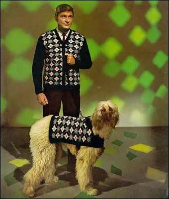 Voil l'lgance coordonne du matre et de son chien, le tout en tricot selon un imprim qu'on appelle ?