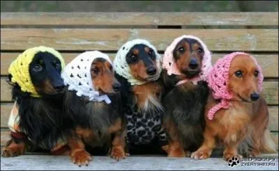 Depuis des annes Gisle Rouleau et Lucienne Beaujon nous font rire !