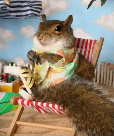 Et pourquoi il ne profiterait pas du soleil ?