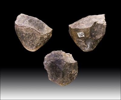 Outre les Paranthropus, quel homme prhistorique associe-t-on le plus souvent  la fabrication d'outils de pierre taille ?