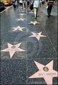 Retour sur Hollywood avec une avenue célèbre pour ses étoiles (plus de 2 000) qui jalonnent les trottoirs... C'est bien sûr le Hollywood Boulevard et sa...