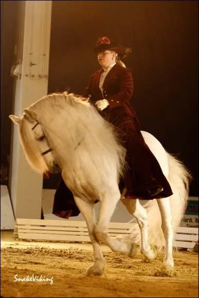 Ceci est une race trs rare de laquelle s'agit-il ?