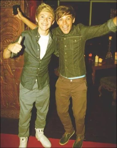 Que fait tous le temps Niall ?