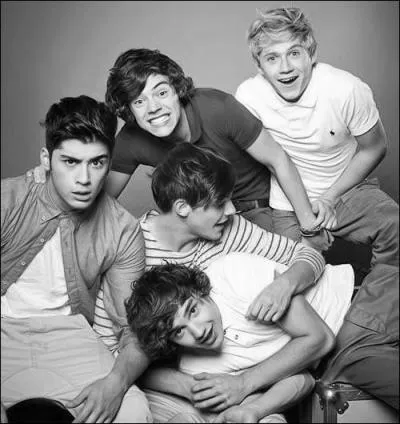 Quelle est la  passion  de Niall ?