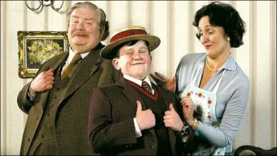 Dans la saga  Harry Potter , aprs la mort des ses parents, Harry est lev par son oncle Vernon et sa tante Ptunia, quel est leur nom de famille ?