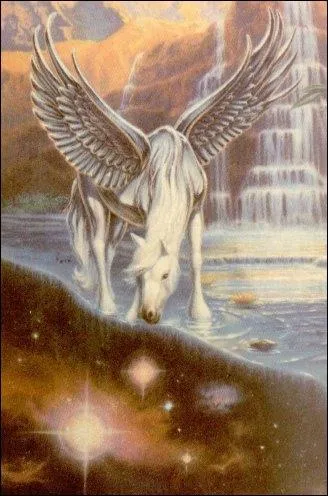 A quoi sert la litire ?