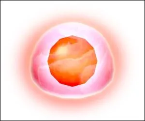 Quel est le nom de celle-l ?