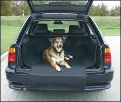 Quelle est la bonne traduction d'un coffre ?