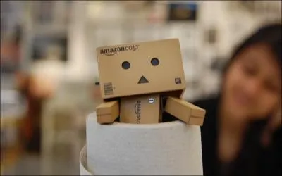 Oh ! Danbo est sorti :