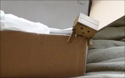 Danbo va :