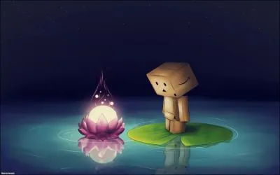 Que contemple Danbo ?