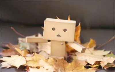 Danbo est dans ...